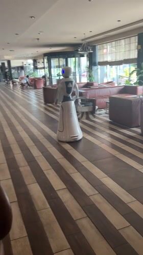 Humanoid robot spotted in Bulgarian hotel lobby