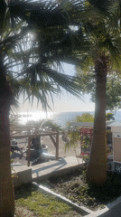 Spring beach day captured in Sochi despite cool water