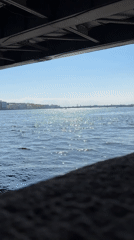 Witness documents Liteyny Bridge views, Neva River in St. Petersburg