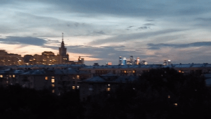 Moscow skyline glows at dusk through silhouetted trees