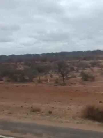 The video shows a landscape view from a moving vehicle. The terrain is dry and sparse, with reddish-brown dirt and scattered vegetation. There are some trees and bushes, and a utility pole is visible in the distance. The sky is overcast with clouds. The overall impression is of a rural or undeveloped area.