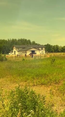 The video begins by showing a panoramic view of a rural landscape with a large building and a fenced-in area, likely a farm or stable, in the distance. The foreground is filled with tall green grass and wild plants. The camera then zooms in, and the view through a pair of black-framed sunglasses comes into focus. The sunglasses are held up, reflecting the same rural scene, but with a slightly yellowish tint. The reflection shows the building, the fence, and the surrounding greenery. The blue sky is visible above the sunglasses. The "Polaroid" logo is visible on the temple of the sunglasses. The scene is static, with no people or animals clearly visible within the frames. The overall impression is a serene, sunlit outdoor environment.