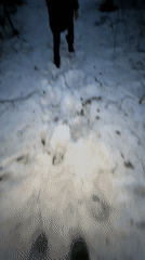 Spring thaw scenes documented across rural Vassyata, Russia