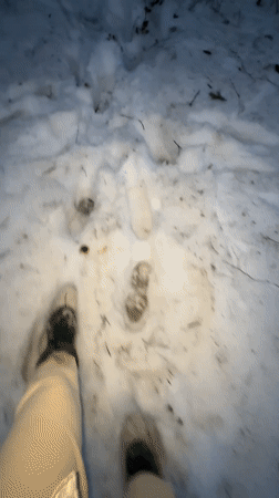 Spring thaw scenes documented across rural Vassyata, Russia