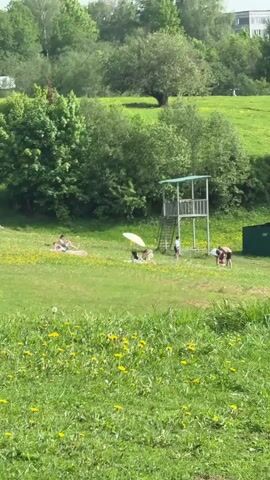 The video shows a lakeside park on a sunny day.  The camera pans from a field with a lifeguard tower to a small, sandy beach. Several people are on the beach or in the water. Some people are lying on blankets under a white umbrella. One person is diving into the lake, creating ripples in the water. The environment consists of green grass, yellow dandelions, trees, and a lake with a sandy beach.  Some buildings are visible in the distance.