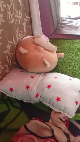 The video begins by focusing on a stuffed animal, possibly a sheep, lying on a pillow that has red stars. The camera then pans to the right, revealing a surface covered with artificial grass, followed by a tiled floor. In the background, there are various blankets and what appears to be a tent or play structure. The final shot shows a notebook and a pen on a wooden table.
