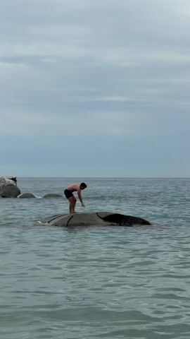 A person stands on a rock in the ocean. The person is wearing dark shorts and is shirtless. The person is looking down at the water. The water is calm and clear. There are other rocks in the distance. The sky is cloudy.