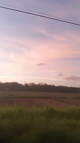 The video captures a passing view of a rural landscape during what appears to be sunset or sunrise, with a soft, pastel-colored sky. Power lines are visible stretching across the frame. In the foreground, blurred greenery suggests the camera is in motion, likely from a vehicle. The middle ground shows fields, some tilled and others covered in grass, with a line of trees forming a distant border. Several buildings, including a multi-story structure under construction, are visible near the tree line. The overall impression is one of tranquil, undeveloped countryside.
