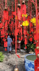 Exploring a Buddhist temple and gardens in Đà Nẵng