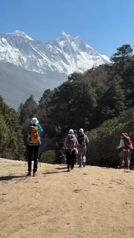A group of hikers are walking on a dirt path, away from the camera, against the backdrop of snow-capped mountains. The sky is clear and blue. The hikers have backpacks and some are using hiking poles. They are surrounded by trees on either side of the path.