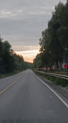 Driving through tree-lined roads in 1-Go Maya, Russia