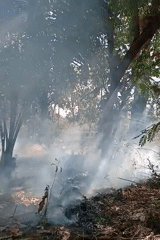 Vegetation fire burns through Pagerungan Kecil island scrubland