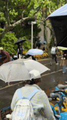 Rainy evening scenes captured across Shanghai intersections and indoor spaces