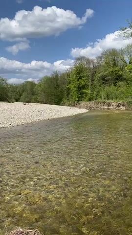 The video displays a serene natural landscape featuring a clear, shallow river. The riverbed is visible through the transparent water, revealing numerous rocks. To the left, a wide bank composed entirely of light-colored gravel stretches into the distance. To the right, the river abuts a lush green forest, with some visible erosion along the bank where the soil and roots are exposed. The sky is bright blue with scattered white cumulus clouds, indicating a sunny day. The overall scene suggests a peaceful, untamed river environment. No people or text are visible in the video. The only discernible sound is that of gently flowing water.