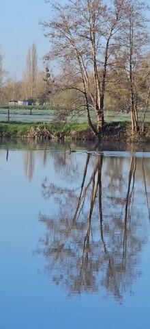 The video shows a peaceful, serene scene of a calm lake with clear reflections of trees in the water. A black bird swims across the lake, creating ripples on the water's surface. The background includes a green field with a fence and small buildings or sheds. The trees are mostly bare, suggesting early spring or late autumn. The sky is clear and blue. The overall impression is one of tranquility and nature's beauty.