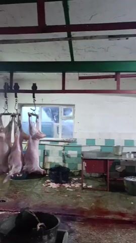 The video shows the interior of what appears to be a slaughterhouse or butcher shop. A carcass, possibly of a pig or lamb, is hanging from a hook on an overhead rail system. Bloodstains are visible on the floor and on some of the surfaces. There are stainless steel tables and buckets present, along with some cleaning supplies and debris. A person, wearing a dark-colored garment, is partially visible on the left side of the frame, seemingly engaged in some task. The environment is industrial, with concrete floors and tiled walls in some areas. Lighting appears to be from overhead fixtures. The overall impression is of a functional but somewhat messy processing area.