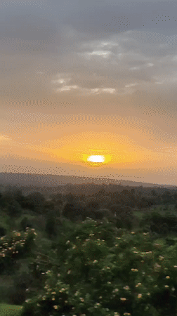 Padli, India