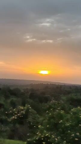 A handheld video captures a sunset over a rural landscape. In the foreground, the dark silhouette of leafy trees dominates the view. As the camera pans, it reveals rolling hills covered in lush green vegetation, with scattered trees and a field. The sky is filled with a mix of gray clouds and an orange glow from the setting sun, which is visible as a bright orb peeking through the clouds. A utility pole with wires is visible in the middle ground. The video also briefly shows a yellow and black road sign pointing to the left, with a black and white striped pole. The overall atmosphere is serene and tranquil, with the warm colors of the sunset creating a peaceful mood.