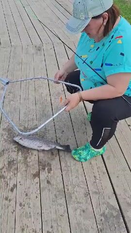 A medium shot captures a woman squatting on a wooden pier next to a body of water. She is wearing a light blue short-sleeved t-shirt with colorful patterns, black athletic pants, and green patterned water shoes. A light-colored baseball cap covers her head. She holds a fishing net with a metal frame in one hand and appears to be tending to a fishing rod with the other. A freshly caught fish, likely a trout, lies on the wet wooden planks of the pier in front of her.

In the background, a shirtless man in blue jeans is seen bending down at the edge of the pier near the water. Several other fishing rods are set up along the pier, suggesting a fishing activity or event. White chairs or stools are also visible further down the pier. The setting appears to be an outdoor recreational area, possibly a fishing pond or lake, surrounded by greenery and trees in the distance. The weather seems fair and bright, indicating daytime. The woman's expression is focused as she handles her equipment and the caught fish. The location is specified as Kipen, Russia.