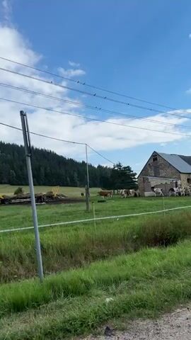 The video captures a daytime scene from a moving vehicle, offering glimpses of a rural landscape. The initial frames show a wide field with a treeline in the distance under a partly cloudy blue sky. A piece of agricultural equipment, possibly a tractor or loader, is visible in the field. As the vehicle moves, the perspective shifts, showcasing lush green grass and dense foliage on either side of a dirt or gravel path.

In the later frames, the camera pans to reveal a house with a distinctive red tiled roof and a light-colored stone or stucco exterior. A white pole with a Polish flag attached stands near the house. A black metal fence surrounds part of the property, and a few chickens are seen in the yard. The surrounding environment remains predominantly green, with trees and various plants contributing to the rural aesthetic. The overall impression is that of a tranquil, country setting.