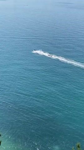 A jet ski is visible in the water, kicking up a spray behind it. A long, narrow boat is moving ahead of the jet ski, also leaving a wake. The water is a deep blue-green, with ripples and waves. The scene appears to be an open body of water, possibly the ocean, under a bright sky. In the lower right corner of the frame, a few green pine branches are visible, suggesting the perspective is from land overlooking the water.