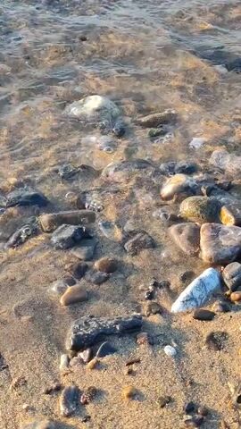 The video shows a close-up view of a sandy beach with many small, smooth stones of various colors. Gentle waves are washing over the stones and sand. The water is clear, and the sunlight reflects off its surface, creating shimmering patterns. The camera is positioned low, looking slightly downwards at the shoreline. There are no people or animals visible. The scene is peaceful and natural.