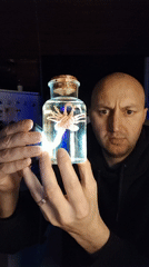 Man displays mysterious specimen in jar in Portuguese town