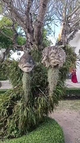 A video captures a close-up view of two grotesque masks hanging from the branches of a tree. The masks, made of what appears to be concrete or stone, are decorated with moss and Spanish moss, giving them a weathered and eerie appearance. The tree itself is heavily adorned with dense foliage, creating a curtain-like effect around the masks. In the background, a person in a red shirt is briefly visible, along with glimpses of other decorative stone sculptures and a pathway. The setting seems to be an outdoor garden or park.