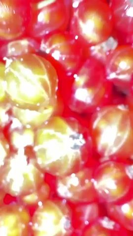 The video displays a collection of freshly picked berries. In the foreground, a green plastic tray is filled with small, round, red berries, likely red currants. To the left of this tray is a clear plastic container overflowing with small, dark, black berries, possibly blackcurrants. In the background, two large metal pots are filled with strawberries. Another red bowl, also filled with strawberries, is placed in front of the pots. A second red bowl, holding a substantial amount of strawberries, is visible to the left. The overall scene suggests the preparation of berries, likely for jam, preserves, or other culinary uses. The lighting suggests it is daytime. The berries appear ripe and fresh, indicating a recent harvest. The setting appears to be a kitchen or a food preparation area. There is no visible text in the video.