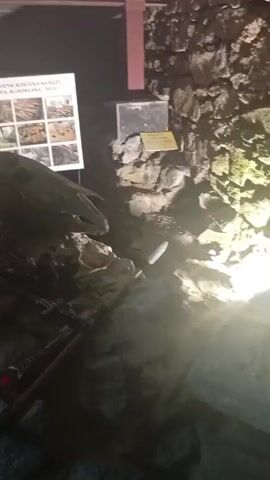 This video shows a dimly lit display within a museum or historical site, likely a castle or underground chamber, with rough stone walls. In the foreground, a display includes a helmet, a sword with a red hilt, and other metallic objects that could be weapons or armor. Behind these items, a large display board with multiple small images is visible. A large, gray object, possibly a skull or a replica of an animal skull, rests on a pile of rocks. To the right of this, a spearhead protrudes from the rocks. Further to the right, a shield with a white eagle emblem on a pink background is mounted on the wall. A blurred figure of a person can be seen in the background, near the top right of the frame. The overall impression is of a historical exhibit showcasing artifacts and possibly re-enacting a past era.