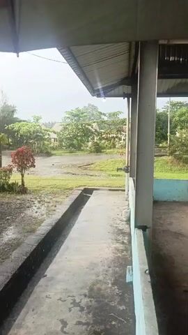 The video shows a view from under a covered patio looking out onto a yard during a rain shower. The yard is wet, with puddles visible on a concrete pathway and in the grass. Several trees and bushes are present, some with green leaves and others with red foliage. In the background, buildings and more trees are visible through the rain. The sky is overcast and bright, suggesting it is daytime. The overall mood is peaceful and calm, despite the rain. No people are visible in the footage. The location is Iemirah, Indonesia.