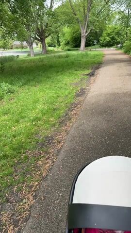 The video shows a first-person perspective from inside a baby stroller being pushed along a paved path. The path is bordered by a grassy area with several large trees. In the background, there is a row of houses visible across the grassy field. The stroller is moving forward, and the camera pans slightly to the left, showcasing more of the green space and trees. The scene is outdoors on a day with overcast weather.  The stroller is white with a black trim.  A person wearing pink clothing is inside the stroller.