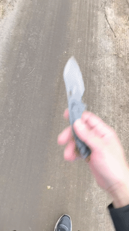 Ordinary Saturday afternoon documented in rural Belarus village