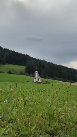 A small white church with a red roof and bell tower stands in a green field dotted with yellow flowers. Behind the church, a dense forest covers a hillside, and the sky above is cloudy. The camera is positioned low to the ground, capturing the wildflowers in the foreground and the church and forest in the background. The video is static, with no visible movement or people.