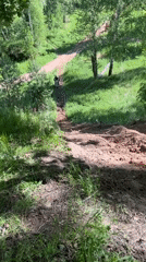 Dirt bike rider navigates forest trails in Vasilyevo