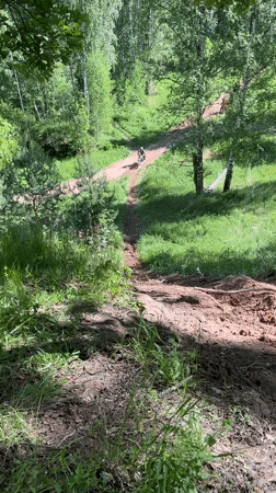 Dirt bike rider navigates forest trails in Vasilyevo