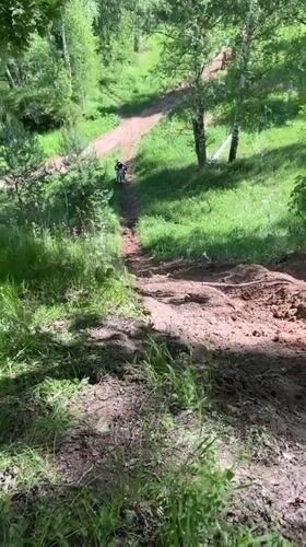 Dirt bike rider navigates forest trails in Vasilyevo