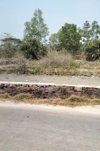 The video displays a roadside scene with a ditch filled with debris, including plastic bags and other trash. Lush green trees and vegetation are visible on the left side of the ditch, while the right side borders a paved road. The camera appears to be moving, likely from a vehicle, as the scene pans by. The sky is clear and bright, suggesting it is daytime.