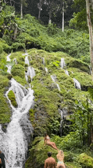 Tourists photograph at waterfall in Kintamani, Indonesia