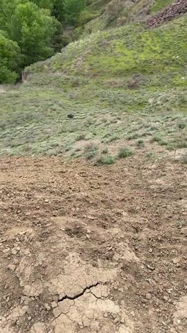 The video captures a natural outdoor scene on a hillside in Meore Kesalo, Georgia. The foreground consists of dry, cracked, and lumpy brown earth, suggesting arid conditions or recently disturbed soil.

As the camera zooms in, a tortoise becomes visible in the mid-ground, partially hidden by sparse, dry grass and small green shrubs. The tortoise has a dark, patterned shell, blending well with the natural environment. It remains still throughout the video, camouflaged amongst the vegetation.

The background shows a steep slope covered in a mix of green grass and thicker clusters of trees, indicating a more verdant area further up or down the valley. The overall impression is of a sunny day with natural light illuminating the landscape. No people or text are visible in the video.
