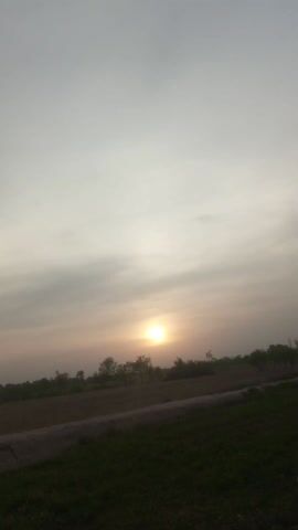 The video shows a landscape under a sky dominated by light gray clouds. The sun is visible through the clouds, appearing as a bright, round spot. The ground is covered with a mix of brown earth and green grass. A row of trees can be seen in the distance, silhouetted against the bright sky. The camera pans slightly, shifting the perspective of the landscape.