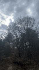 Spring morning moments documented across Zlatograd, Bulgaria