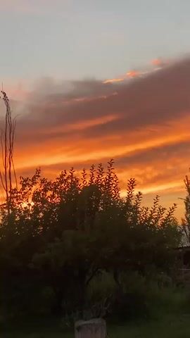 The video shows a sunset with vibrant orange and pink clouds. In the foreground, there are several silhouetted trees and bushes. A tall, thin object, possibly a pole or a thin tree, stands out against the sky on the left side of the frame, with a dark plume or smoke rising from its top. The ground appears to be covered in grass. The camera pans slightly to the right throughout the short clip, revealing more of the trees and the sunset.