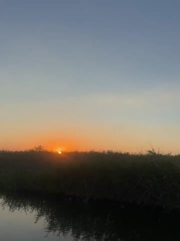 A video captures a sunset over a body of water bordered by tall grass. The sun is a bright orange orb peeking through the grass on the left side of the frame. The sky transitions from a light blue at the top to a pale orange near the horizon. The water in the foreground reflects the sky and the grass. The grass appears to be dry and rustling in the wind. There are no people or animals visible in the video. The video appears to be shot from a low angle, possibly from a boat or the edge of the water.
