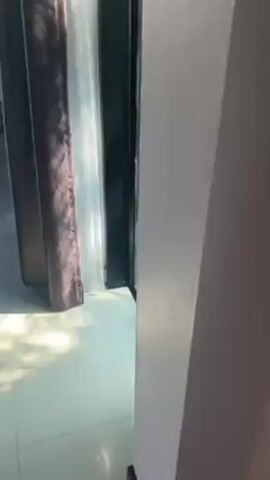 The video shows a group of five baby monkeys pressed up against the glass of a door. The doorframe is black and the door opens onto a balcony. The balcony has a brown floor and black railings with a view of green trees. There are metal barstools and a table on the balcony. Inside the building, the floor is white tile and brown curtains hang near the doorway. The monkeys appear to be looking in, their faces visible against the glass.