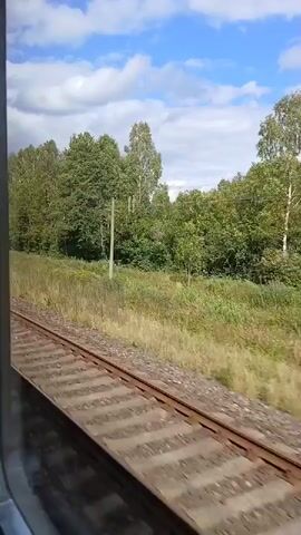 The video is shot from inside a train, looking out a window. The train tracks are visible in the foreground, running parallel to the train's direction of travel. The landscape outside consists of green trees and grass, with a blue sky and white clouds overhead. The perspective suggests the train is moving through a rural or forested area. There are no people or specific objects of interest clearly visible, besides the train tracks and the natural environment. The lighting indicates it is daytime.