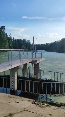 A static wide shot captures a concrete structure, likely part of a dam or sluice gate, next to a large body of water in Mednoye-Vlasovo, Russia. The structure features a raised concrete pier with a blue metal railing, extending over a lower basin. Two red posts stand vertically on the pier. Below the pier, a concrete column displays what appears to be a water level indicator with partially visible numbers. A circular metal railing encloses the lower basin area. The water surface of the expansive body of water is largely covered with green algae or aquatic vegetation, suggesting a calm or stagnant condition. Dense green forests line the distant banks of the water body. The sky is bright blue with scattered white clouds, indicating clear weather. The lighting suggests it is daytime, possibly late afternoon, with sunlight casting shadows. No people are visible in the scene.