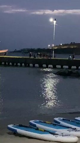 The video shows a harbor at night. There's a pier with people on it, illuminated by street lights, and the reflection of the lights shimmer on the water's surface. Someone jumps into the water off the pier. In the foreground, paddleboards are lined up on the beach. A boat is visible in the harbor beyond the pier. The sky is a dark, cloudy color.