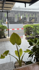 Rainstorm and restaurant scenes captured in Thai coastal village