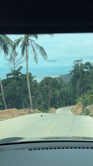Dawn drive captured on palm-lined road in Ko Samui